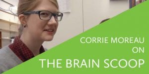 Corrie Monreau on the brain scoop