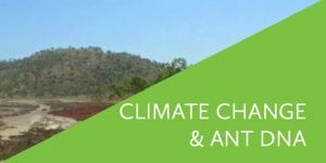 Climate Change and Ant DNA