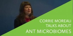 Corrie Monreau Talks about Ant Microbiomes